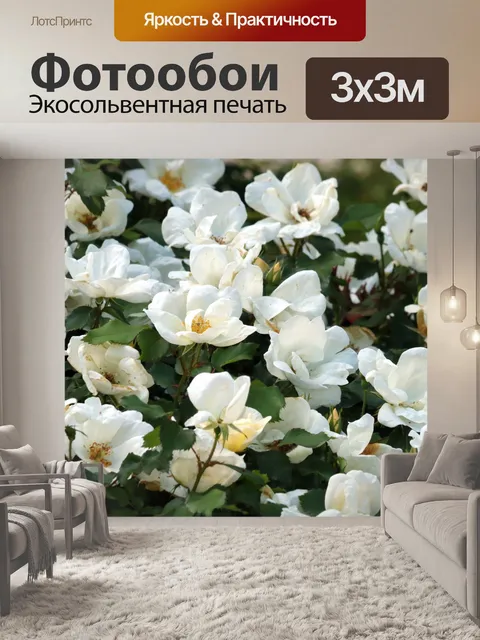 Фотообои Белые розы крупным планом