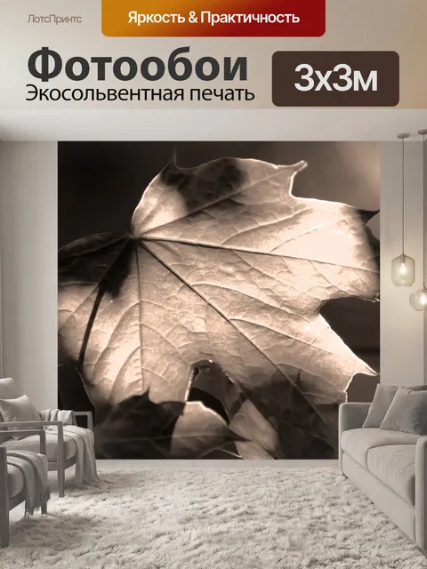 Фотообои Лист