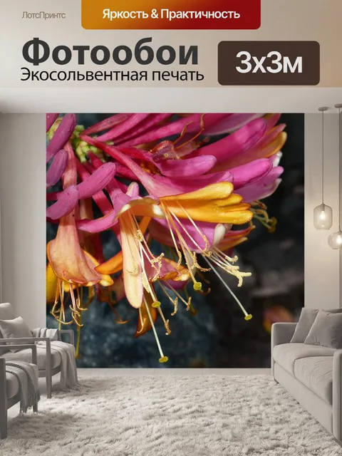 Фотообои Цветы
