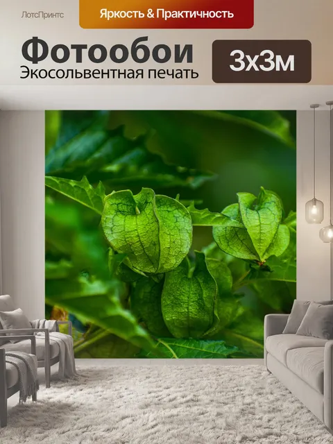 Фотообои Природа