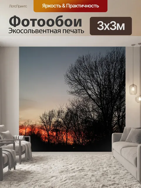 Фотообои Заход солнца