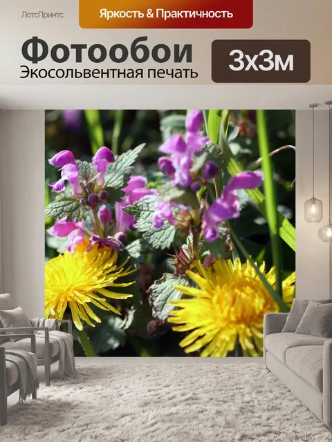 Фотообои Цветы
