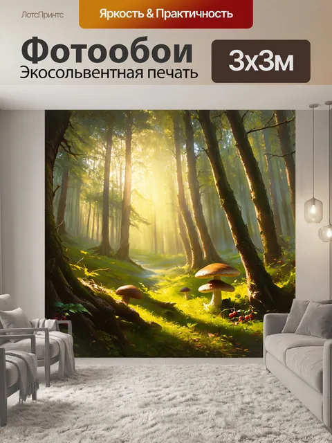 Фотообои лес просыпается от утреннего света