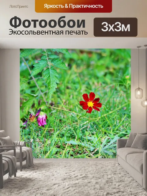 Фотообои красные космос цветок