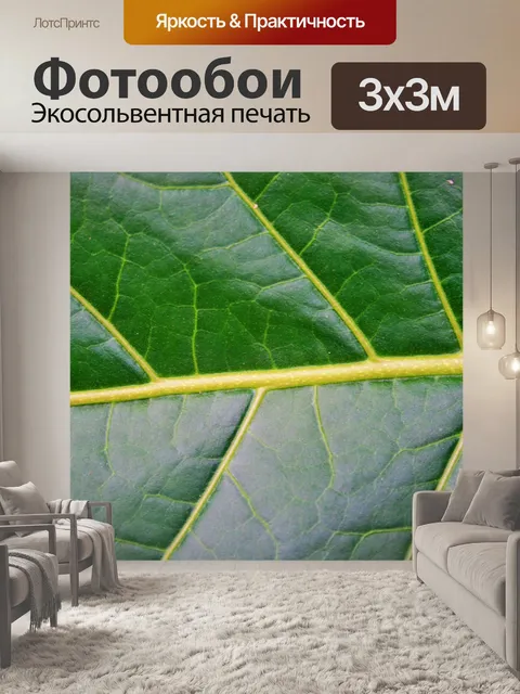 Фотообои большого диаметра прожилки на листе