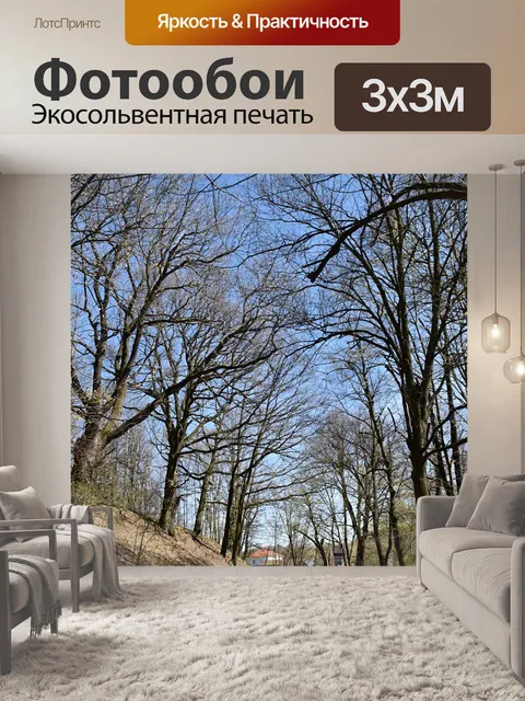 Фотообои Деревья