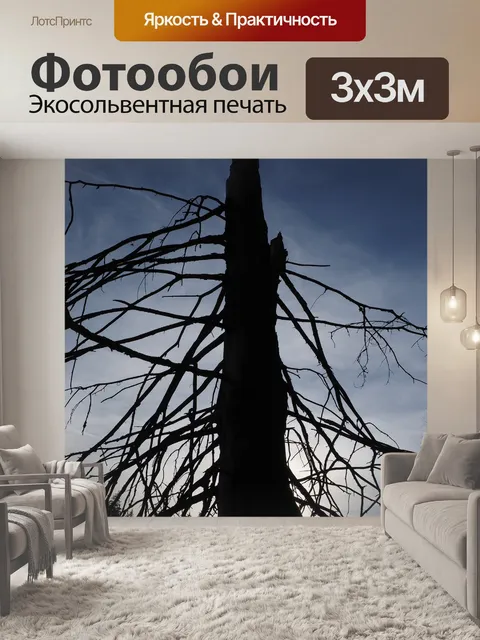 Фотообои Ель
