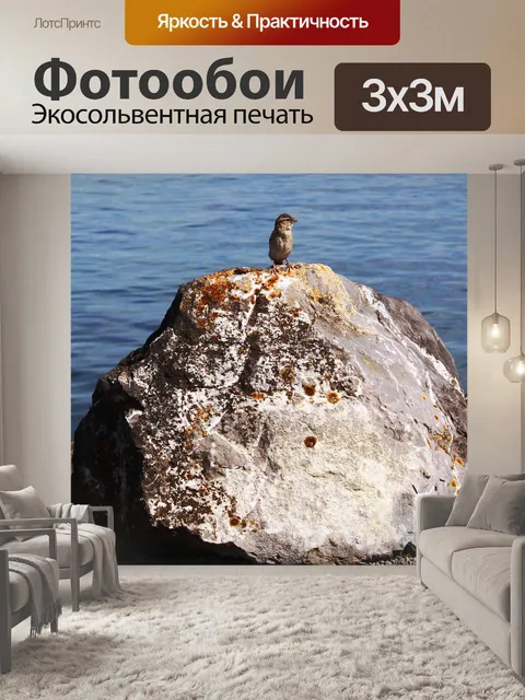 Фотообои Воробей