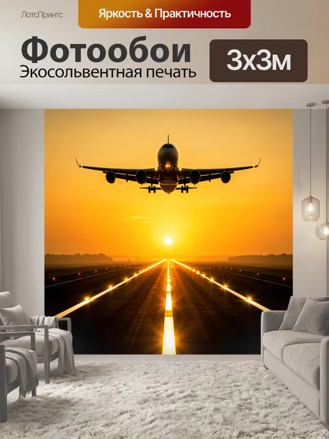 Фотообои Самолет на посадке на закате