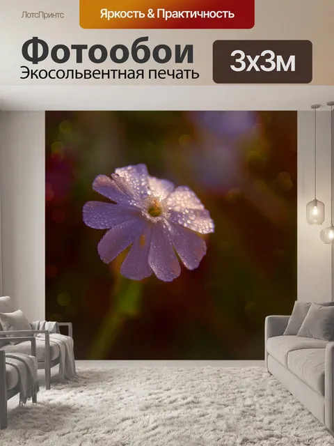Фотообои Цветок