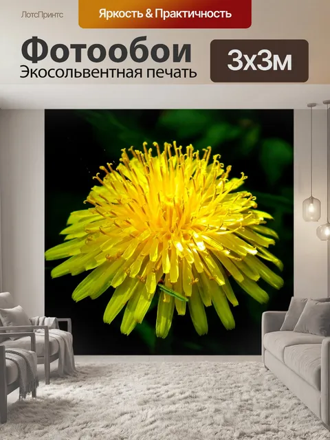 Фотообои Осот огородный
