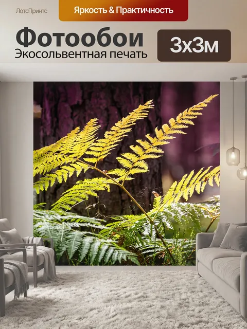 Фотообои Папоротник