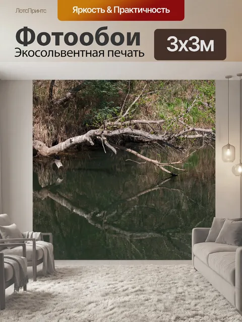 Фотообои Низкая ветка, склонившаяся над рекой