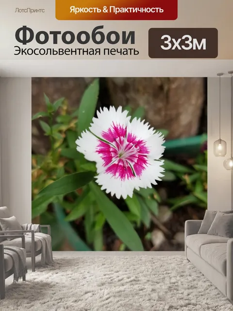Фотообои Земля