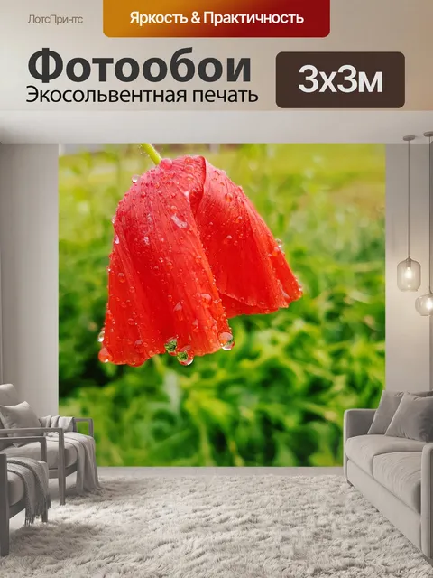 Фотообои Мак