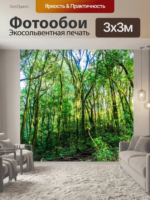 Фотообои Тропический лес в Дои Интанон, Чиангмай