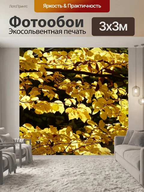 Фотообои Европейский бук