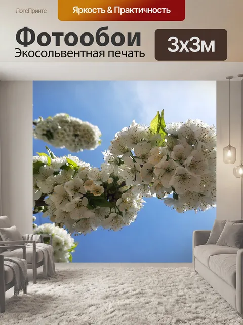 Фотообои Белые цветки