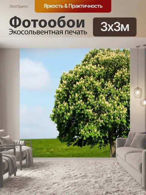 Фотообои Дерево, Конский каштан