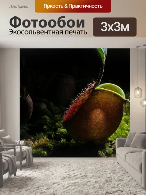 Фотообои Природа