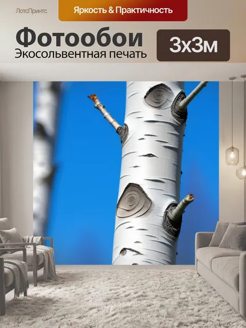 Фотообои пейзаж с березки минимал