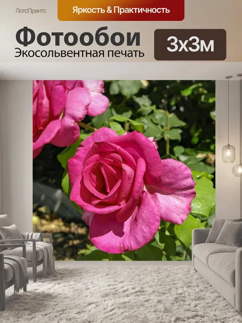 Фотообои Цветы