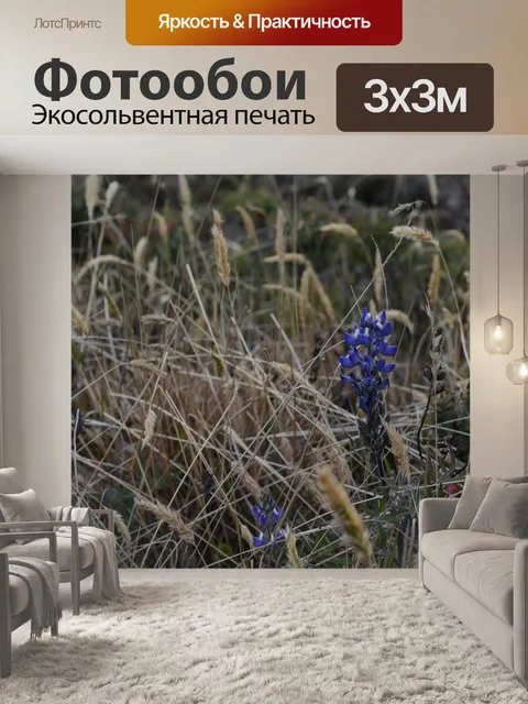 Фотообои Цветы