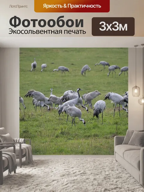 Фотообои Краны