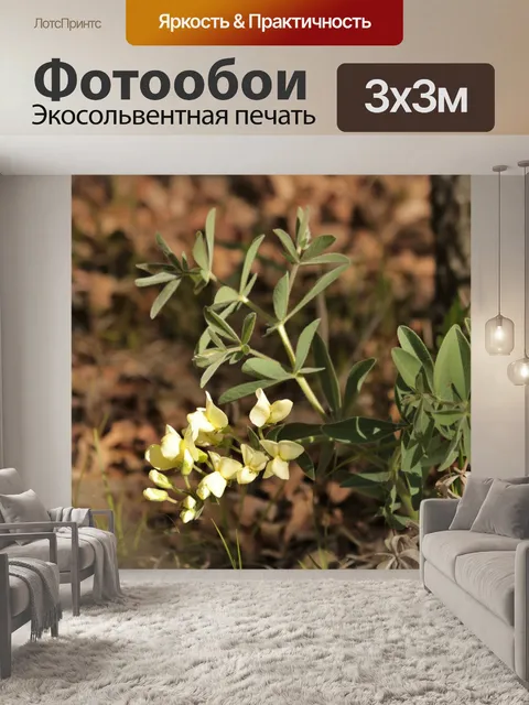 Фотообои Длинный приукрашенный дикий индиго