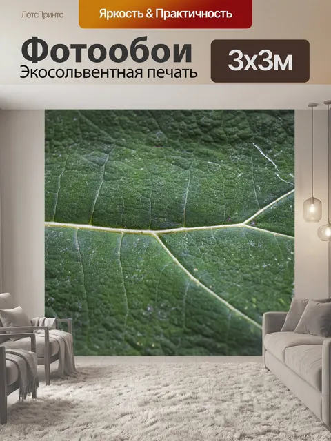 Фотообои Природа