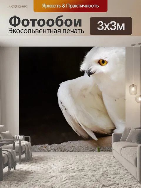 Фотообои Сова