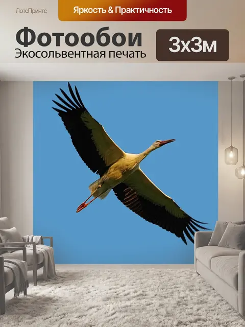 Фотообои Птица