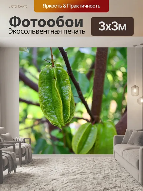 Фотообои Зеленая звезда яблок на дереве