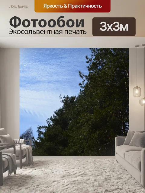 Фотообои Сосны