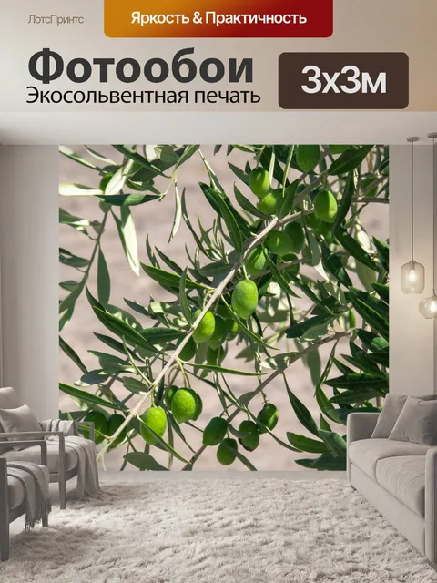 Фотообои Выращивание оливок