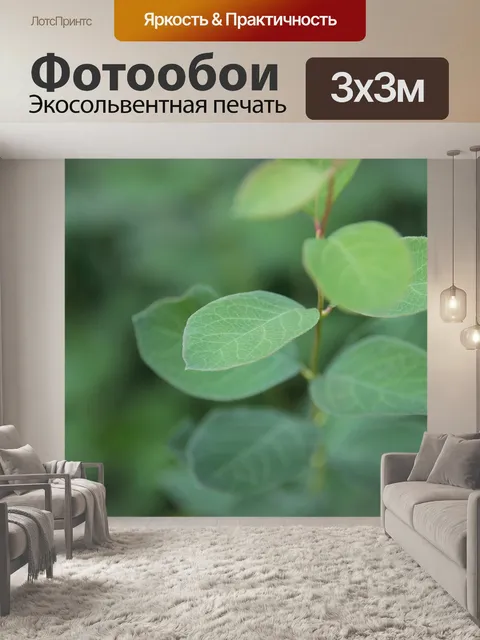 Фотообои Лист