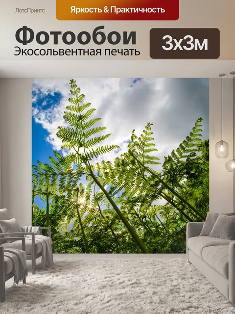 Фотообои папоротник
