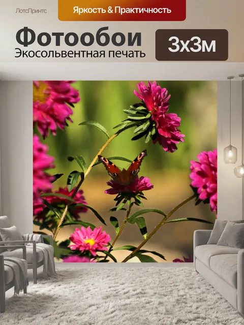 Фотообои Бабочка