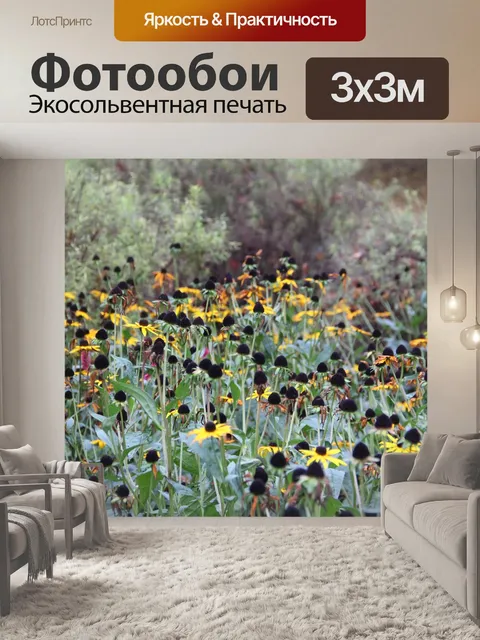 Фотообои Цветы
