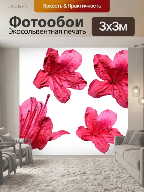 Фотообои Цветы