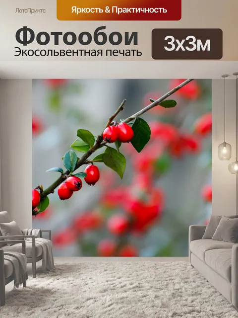 Фотообои Красные ягоды