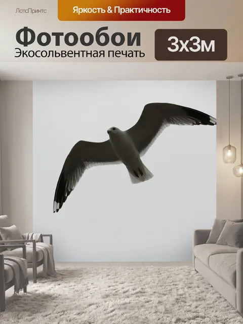 Фотообои Птица