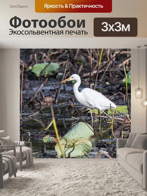 Фотообои Птицы