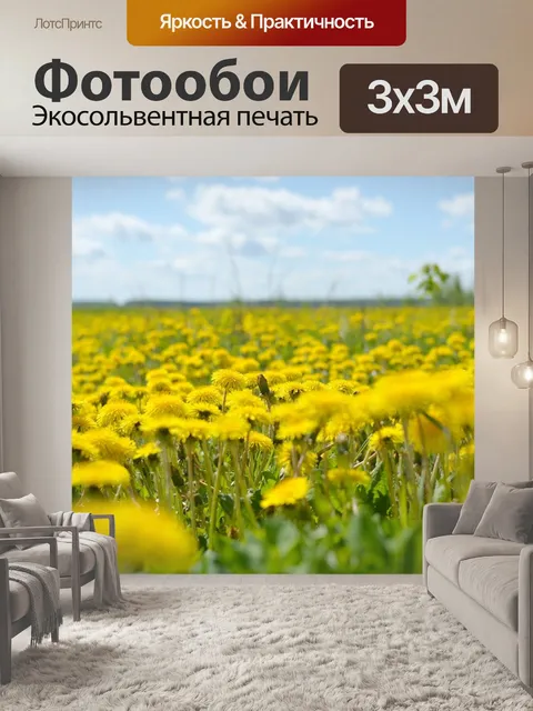 Фотообои Одуванчик