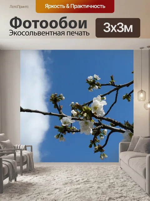 Фотообои Цветы