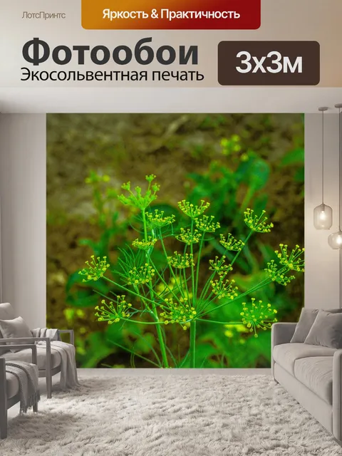 Фотообои Овощ
