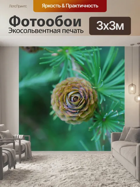 Фотообои Шишка