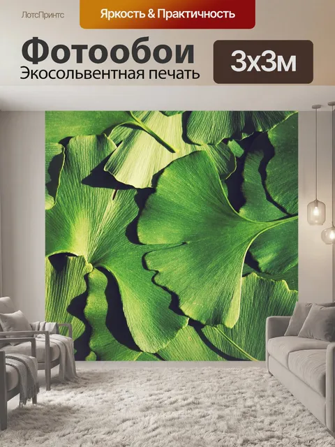 Фотообои Гинко