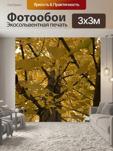 Фотообои Падение