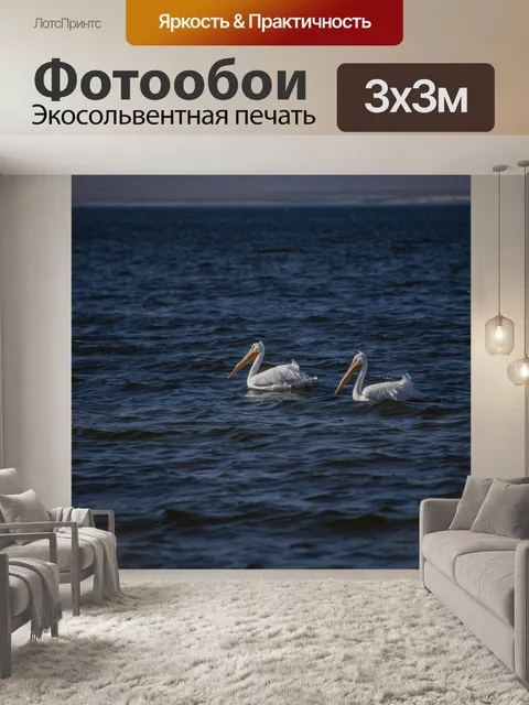 Фотообои Два белых пеликана